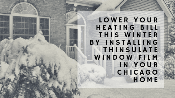 thinsulate window film chicago
